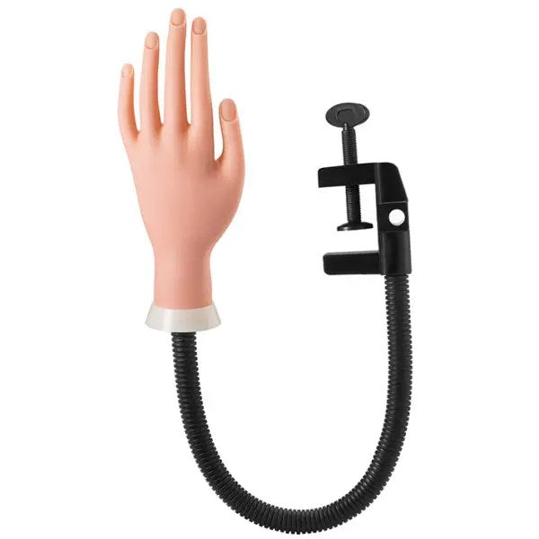 Mano Practicas Manicura con Soporte