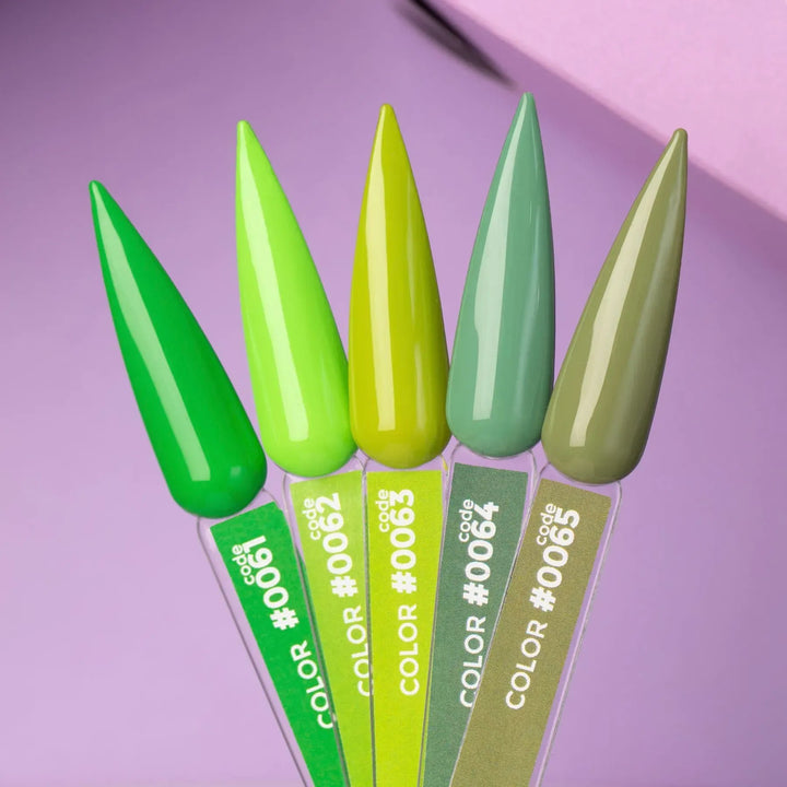 COLOR GEL POLISH 12 ml #0065