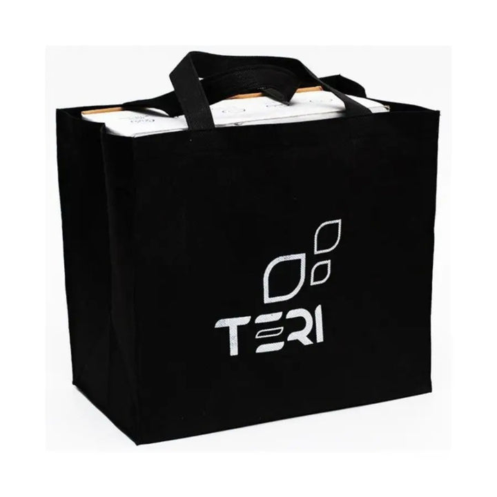 Aspirador sobremesa Teri 800M Black Silver 80w