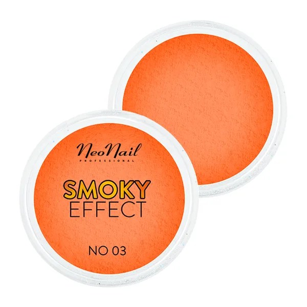Pigment SMOKY EFFECT 03 Neonail 2g