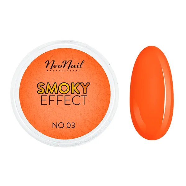 Pigment SMOKY EFFECT 03 Neonail 2g