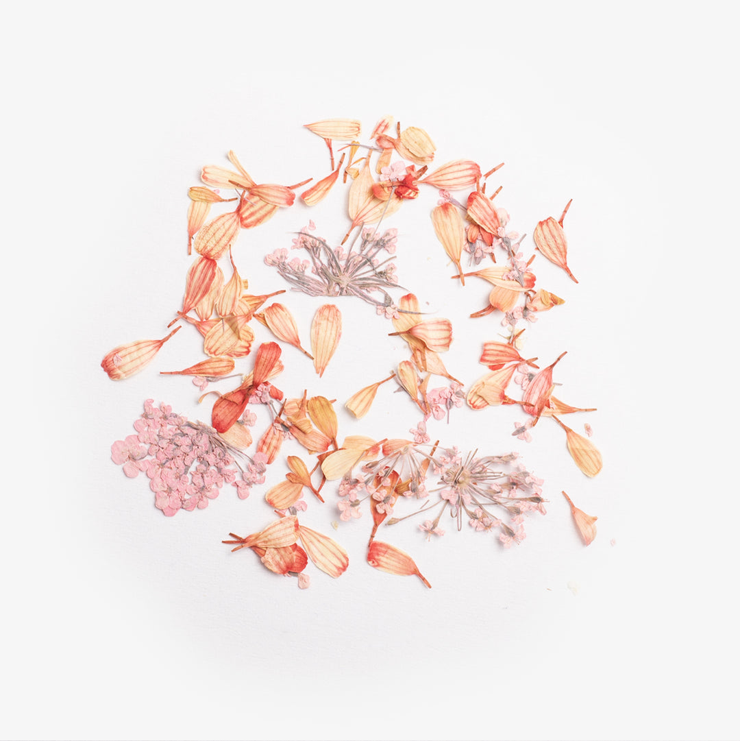 Flower Flakes Coral Blossom Semilac