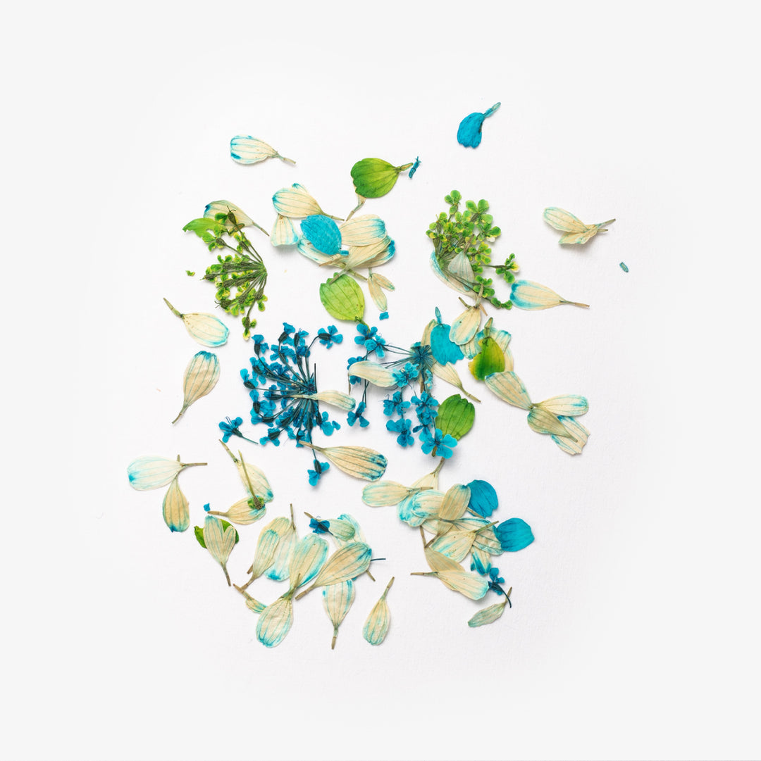 Flower Flakes Spring Meadow Semilac