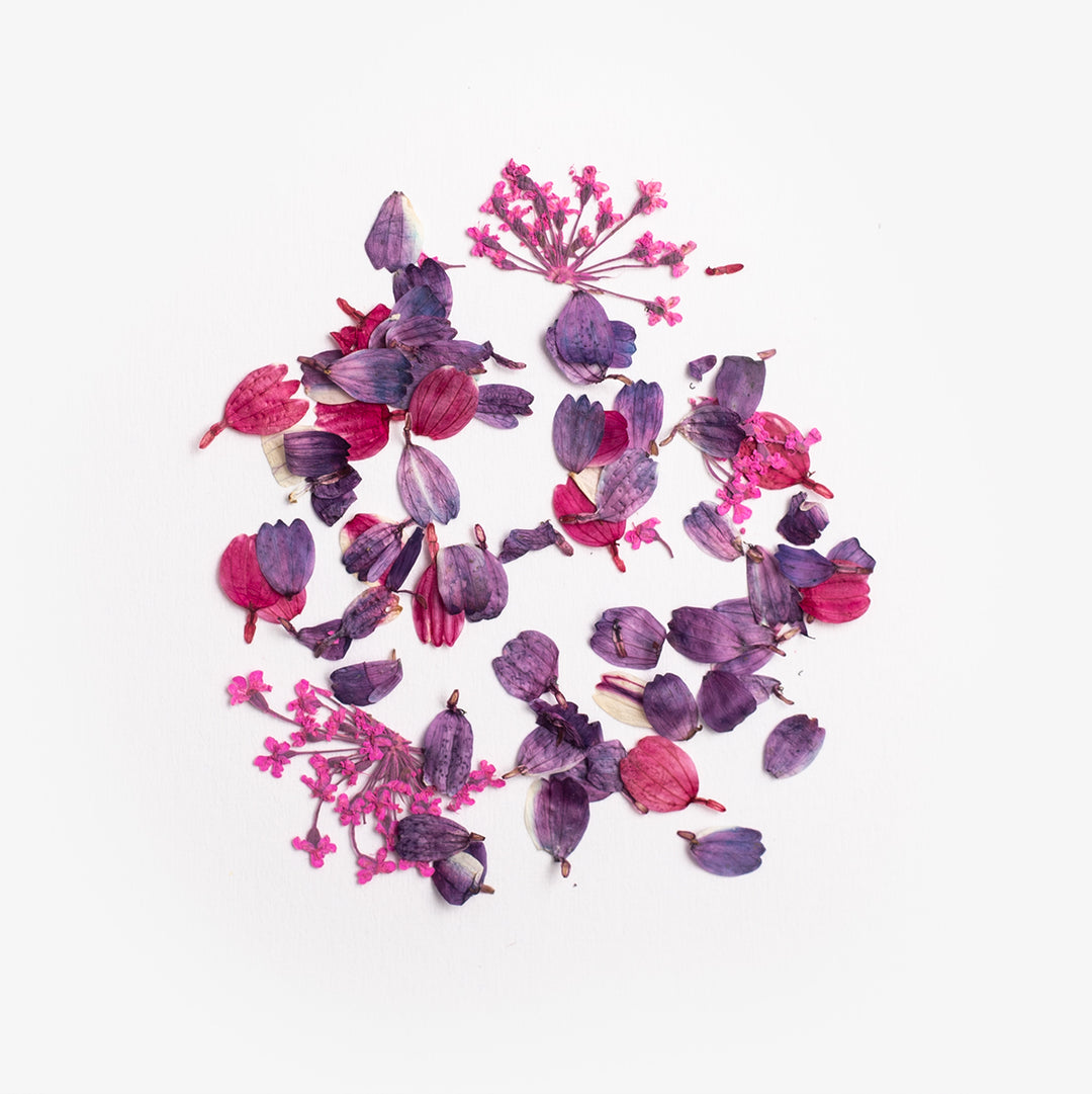 Flower Flakes Wild Orchid Semilac