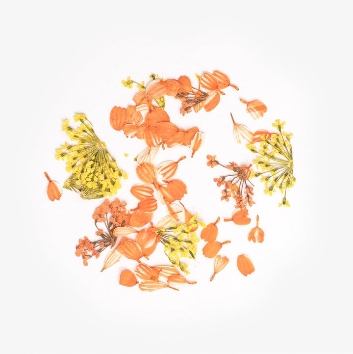 Flower Flakes Golden Sunset Semilac