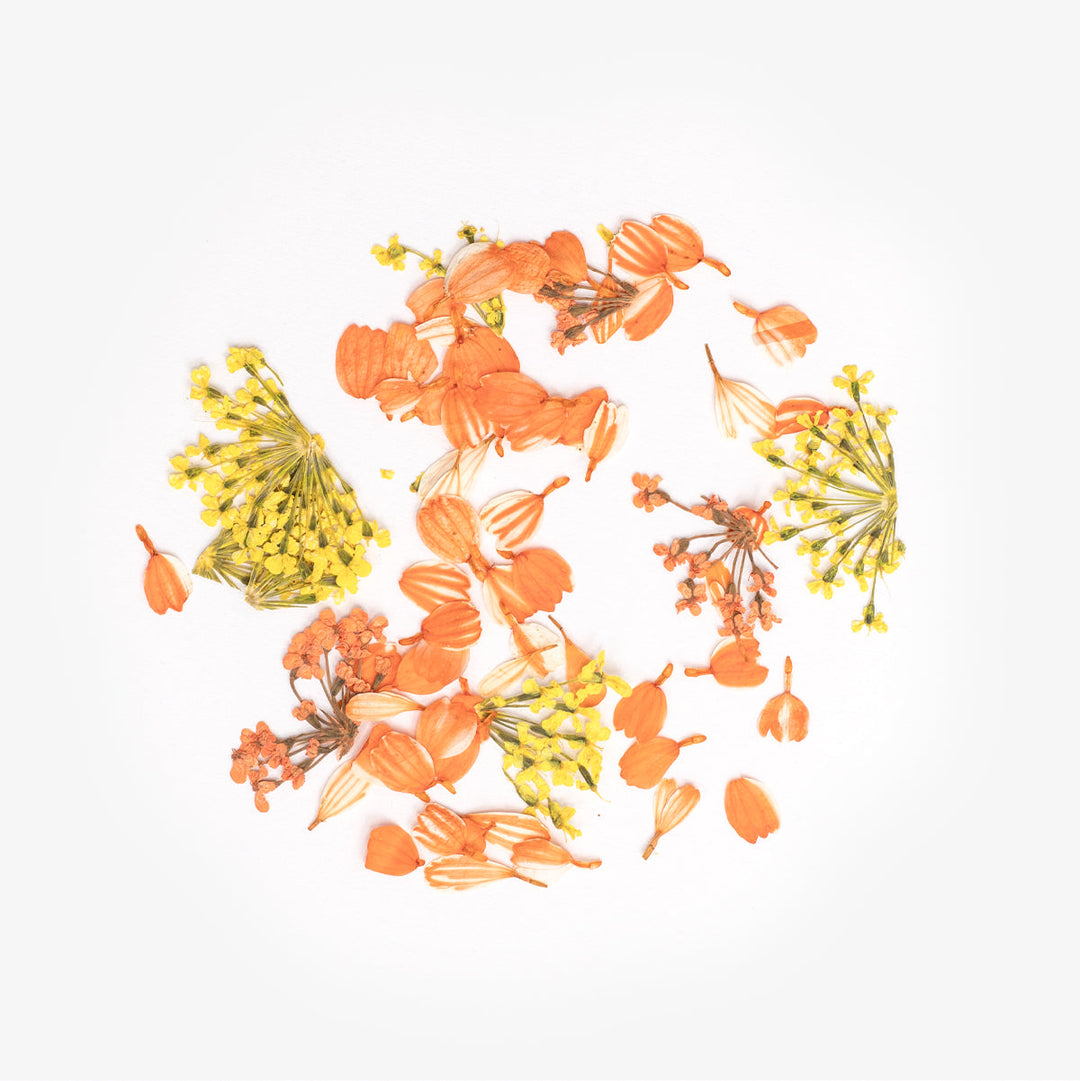 Flower Flakes Golden Sunset Semilac